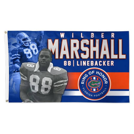 Stadium Ring of Honor nameplate for Wilber Marshall